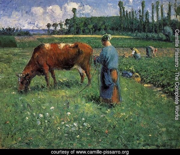 Girl Tending a Cow in Pasture, 1874