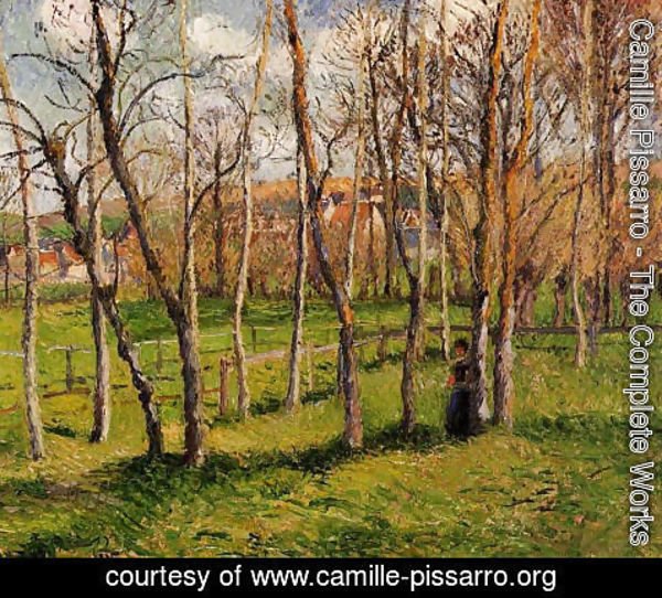 Camille Pissarro - Meadow at Bazincourt, 1885