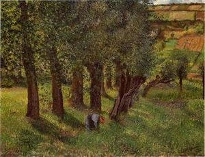 Camille Pissarro - Le Chou a Pontoise