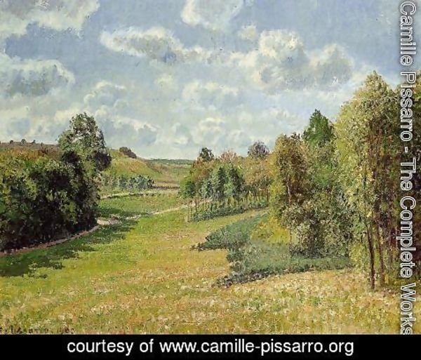 Camille Pissarro - Berneval Meadows, Morning