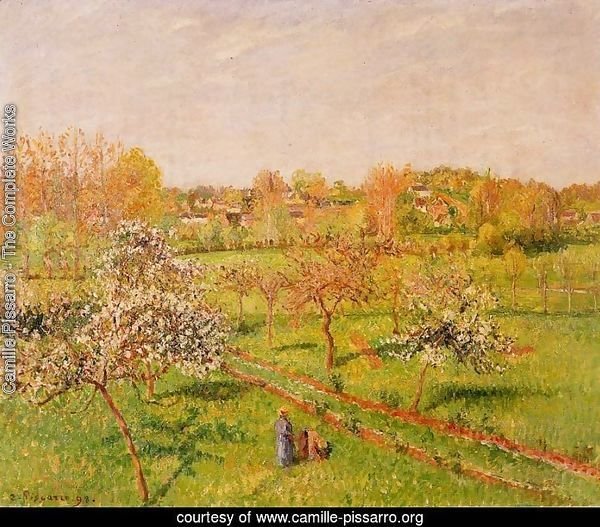 Morning, Flowering Apple Trees, Eragny
