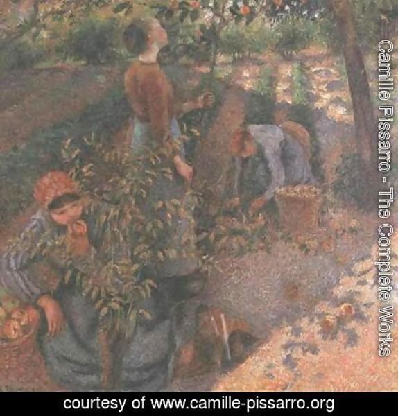 Camille Pissarro - Apple Picking