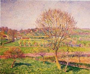 Camille Pissarro - Big Walnut Tree at Eragny