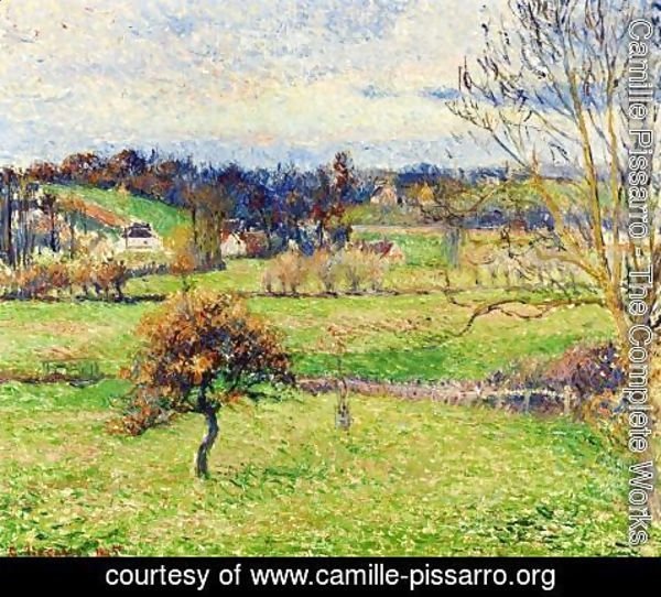 Camille Pissarro - Field at Eragny