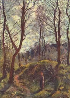 Landscape with large trees