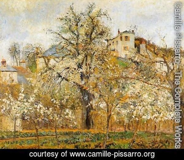 Camille Pissarro - Kitchen Garden witih Trees in Flower Spring Pontoise  1877