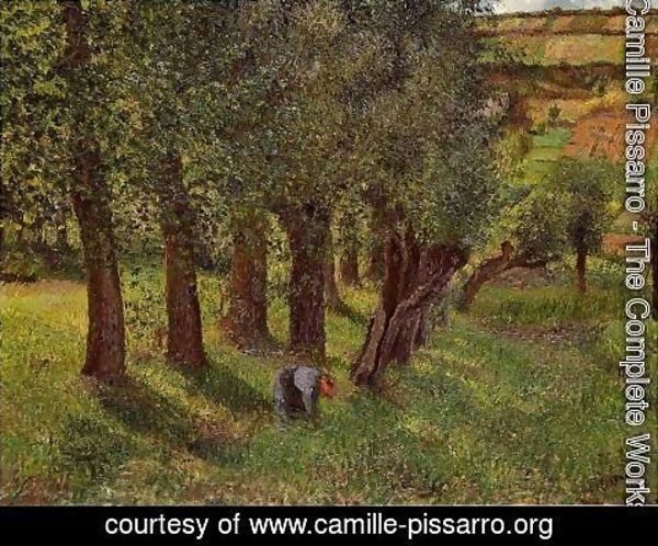 Camille Pissarro - Le Chou a Pontoise (aka La Moussiere)  1882