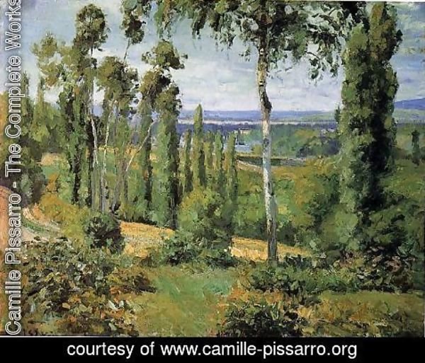Camille Pissarro - The Cote des Boeurs at lHermitage near Pontoise  1877