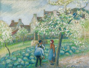 Camille Pissarro - Pruniers en fleurs