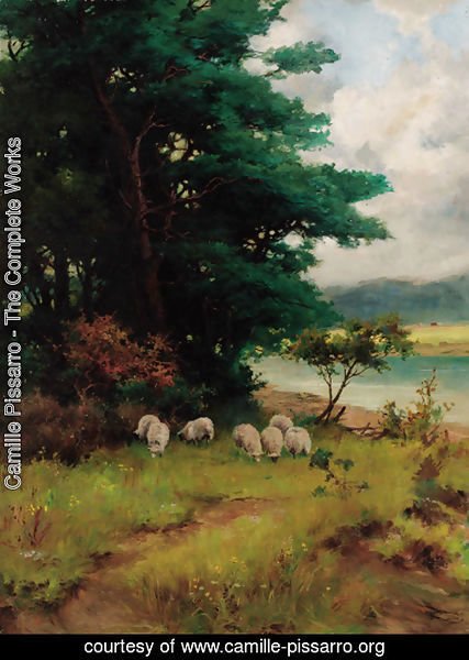 Sheep grazing in a wooded river landscape