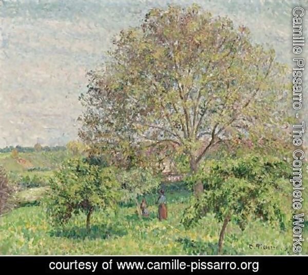 Camille Pissarro - Le Grand Noyer Au Printemps, Eragny
