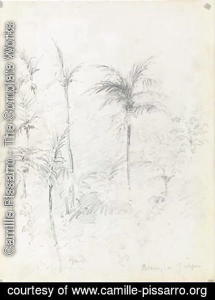 A landscape with palm trees