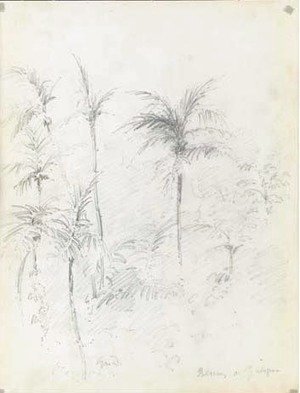 Camille Pissarro - A landscape with palm trees