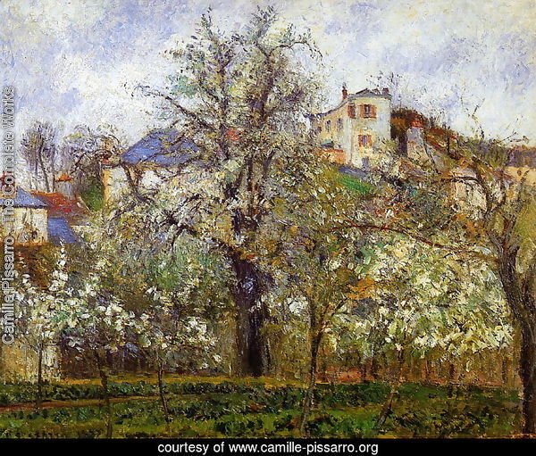 Kitchen Garden with Trees in Flower, Pontoise  1877