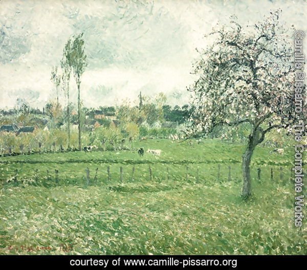Meadow at Eragny, 1885