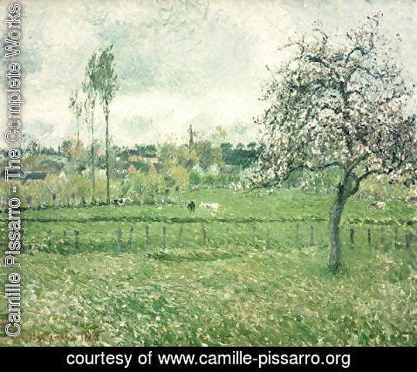Camille Pissarro - Meadow at Eragny, 1885