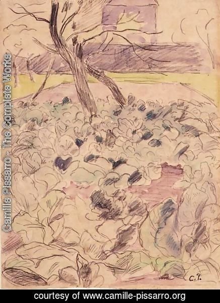 Camille Pissarro - The Cabbage Field, c.1880