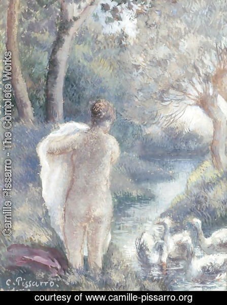Nude with Swans, c.1895 2