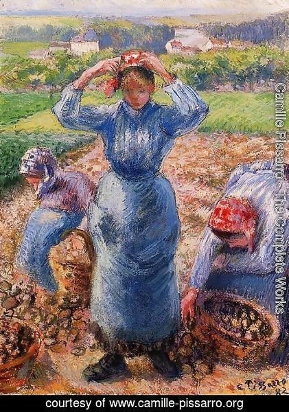 Camille Pissarro - Peasants Harvesting Potatoes