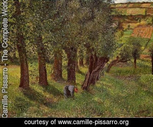 Camille Pissarro - Le Chou a Pontoise