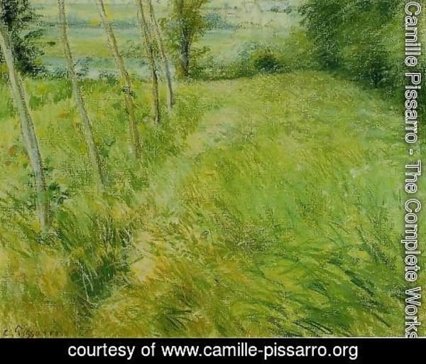 Camille Pissarro - Landscape at Pontoise I