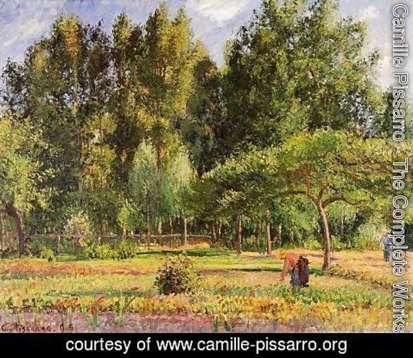 Camille Pissarro - Poplars, Afternoon in Eragny