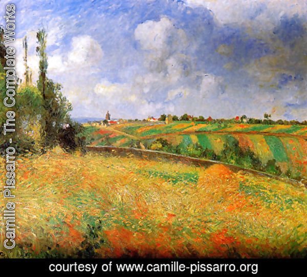 Camille Pissarro - Fields