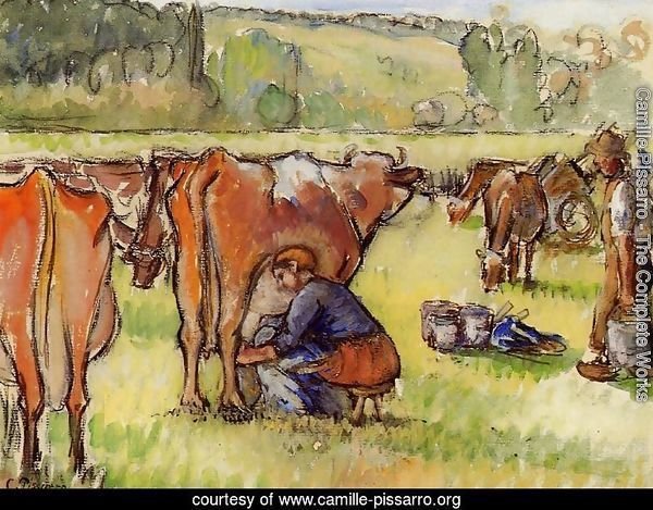 Milking Cows