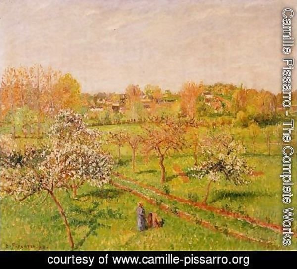 Camille Pissarro - Morning, Flowering Apple Trees, Eragny