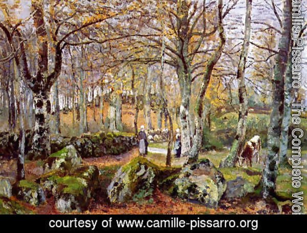 Camille Pissarro - Landscape with Rocks, Montfoucault