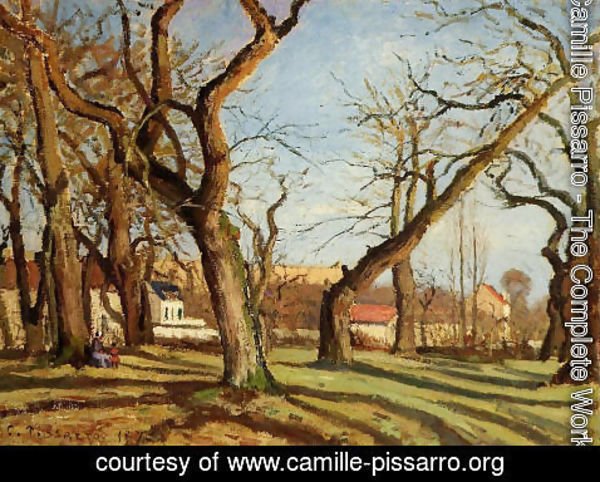Camille Pissarro - Groves of Chestnut Trees at Louveciennes
