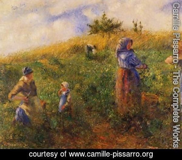 Camille Pissarro - Picking Peas