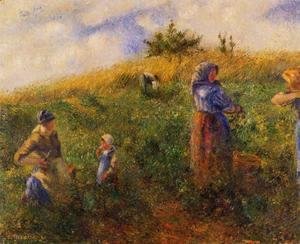 Camille Pissarro - Picking Peas