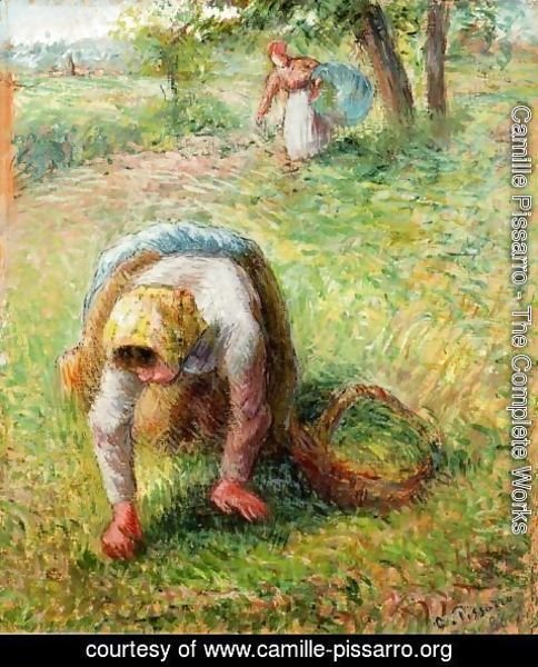 Camille Pissarro - Peasants Gathering Grass