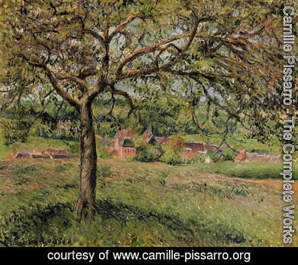Camille Pissarro - Apple Tree at Eragny