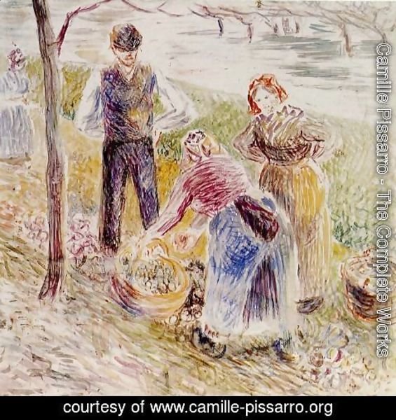 Camille Pissarro - Harvesting Potatos