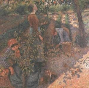 Camille Pissarro - Apple Picking