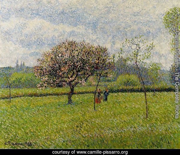 Flowering Apple Trees at Eragny
