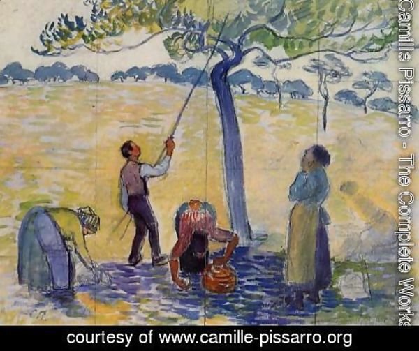 Camille Pissarro - Picking Apples