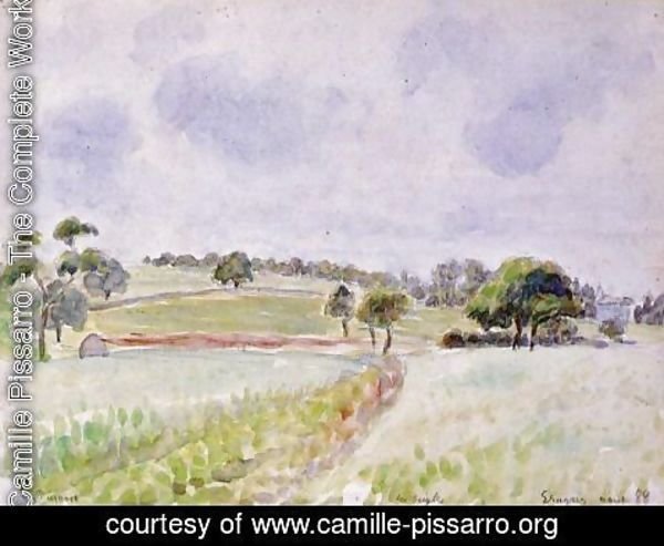Camille Pissarro - Field of Rye