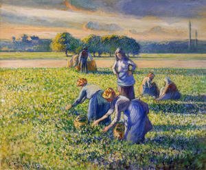 Camille Pissarro - Picking Peas I