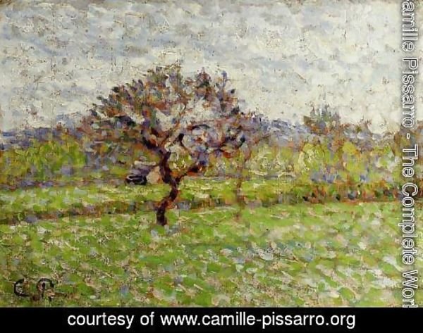 Camille Pissarro - An Apple Tree at Eragny
