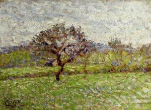 Camille Pissarro - An Apple Tree at Eragny
