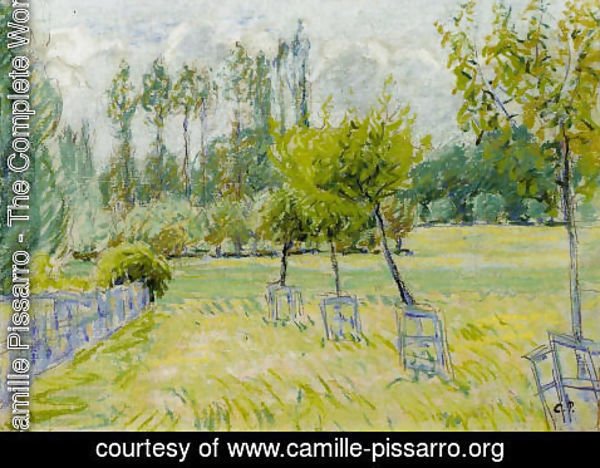 Camille Pissarro - Study of Apple Trees at Eragny