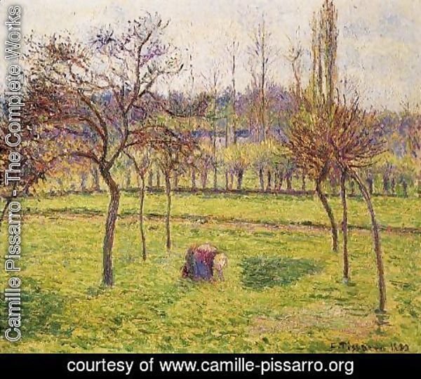 Camille Pissarro - Apple Trees in a Field