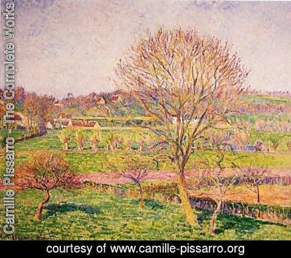 Camille Pissarro - Big Walnut Tree at Eragny