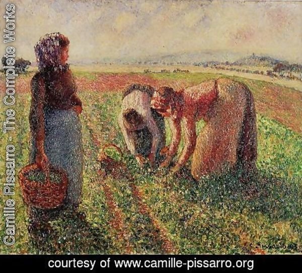 Camille Pissarro - Picking Peas II