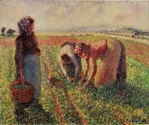 Camille Pissarro - Picking Peas II