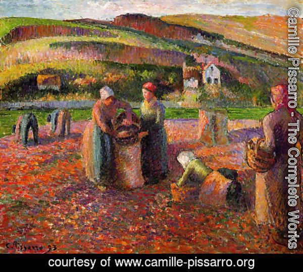 Camille Pissarro - Potato Harvest I