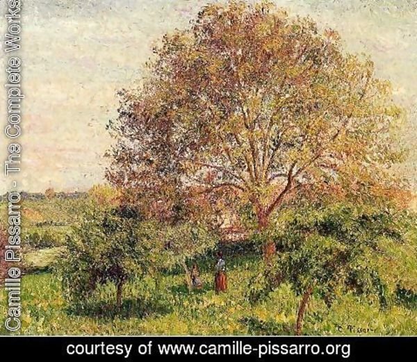 Camille Pissarro - Walnut Tree in Spring
